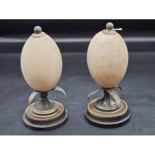 1441 - Natural History: a pair of electroplate mounted carved emu eggs, on ebonized stands, 21.5cm high.... 