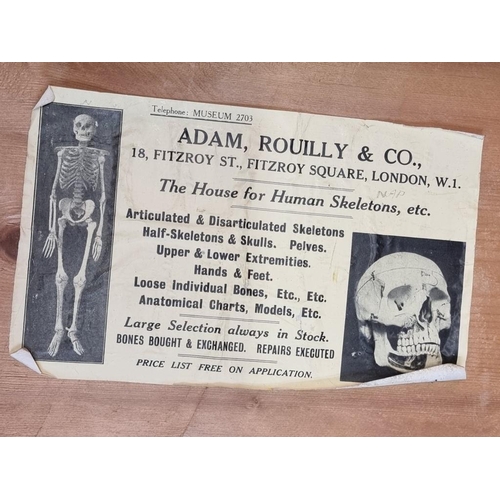 1503 - Anatomy: a human part skeleton, the pine box labelled 'Adam, Rouilly & Co'; with some duplicate ... 