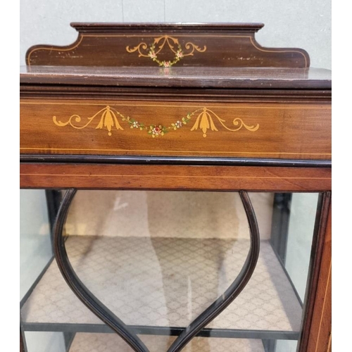 1621 - An Edwardian mahogany, painted and line inlaid display cabinet, 139.5cm high x 59cm wide.... 