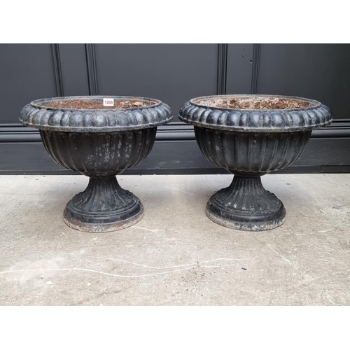 1205 - A pair of black painted cast iron Campana urns, 33cm high.