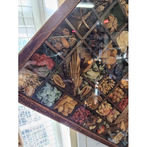 1562 - A framed display of seeds, grains and wild flowers, 69.5cm square. 