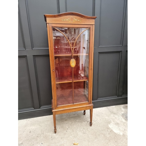 1076 - An Edwardian mahogany, line inlaid and painted display cabinet, 65.5cm wide.