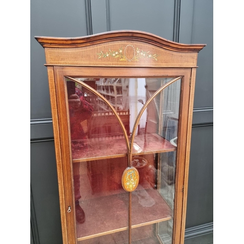 1076 - An Edwardian mahogany, line inlaid and painted display cabinet, 65.5cm wide.