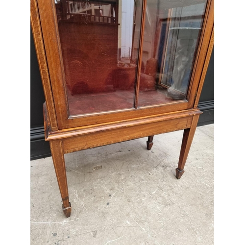 1076 - An Edwardian mahogany, line inlaid and painted display cabinet, 65.5cm wide.