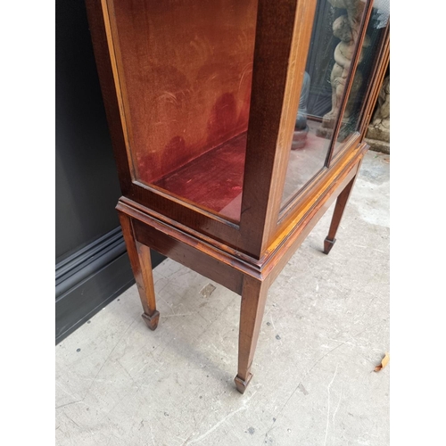 1076 - An Edwardian mahogany, line inlaid and painted display cabinet, 65.5cm wide.