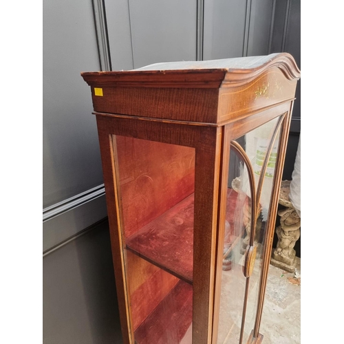 1076 - An Edwardian mahogany, line inlaid and painted display cabinet, 65.5cm wide.