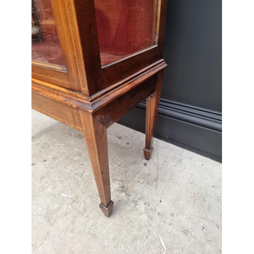 1076 - An Edwardian mahogany, line inlaid and painted display cabinet, 65.5cm wide.