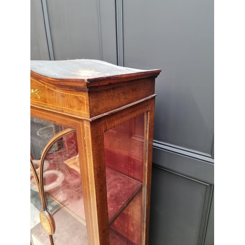 1076 - An Edwardian mahogany, line inlaid and painted display cabinet, 65.5cm wide.