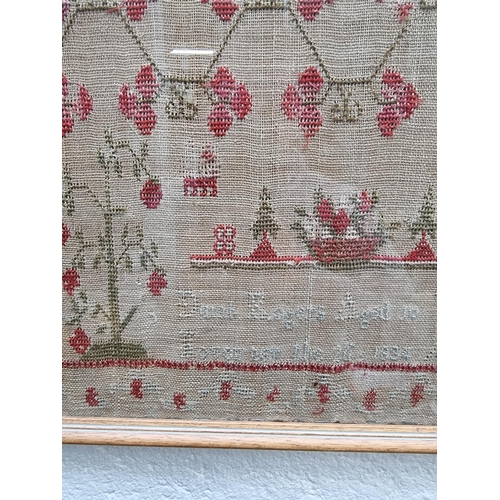 1205 - A William IV needlework sampler, by 'Dinah Rogers, Aged 10, November the 16, 1834', 52 x 40cm.... 