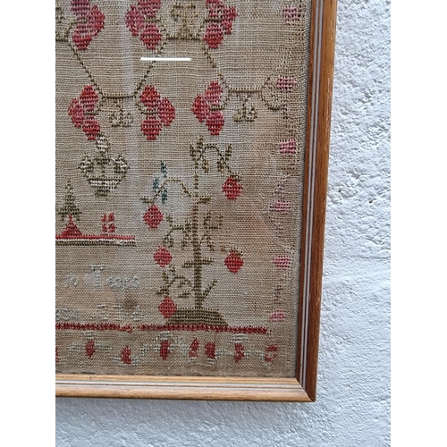 1205 - A William IV needlework sampler, by 'Dinah Rogers, Aged 10, November the 16, 1834', 52 x 40cm.... 