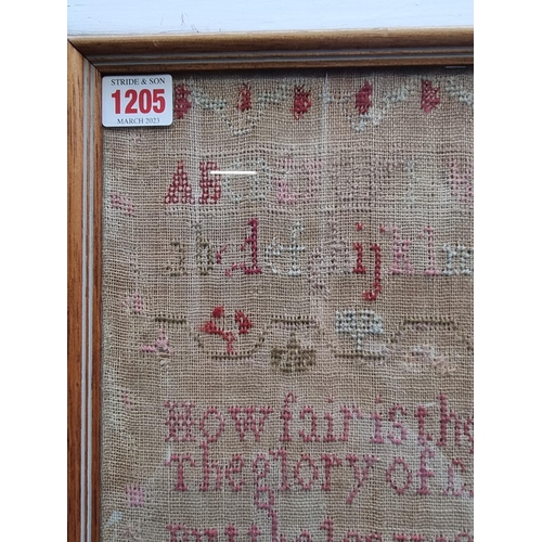 1205 - A William IV needlework sampler, by 'Dinah Rogers, Aged 10, November the 16, 1834', 52 x 40cm.... 