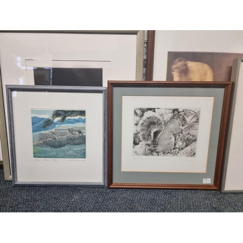 1232 - An interesting collection of pencil signed prints. (13)