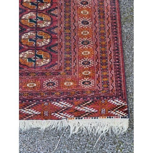 1004 - A Bokhara rug, having repeated decoration allover, 174 x 132cm. 