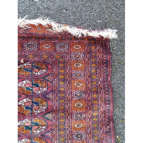 1004 - A Bokhara rug, having repeated decoration allover, 174 x 132cm. 