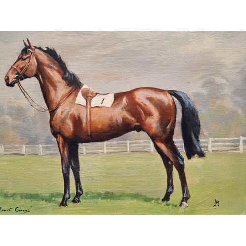 1189 - L.M., 'Court Circus' a racehorse in a landscape, monogramed and titled, oil on board, 40.5 x 55cm.... 