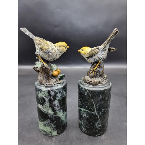 1523 - A pair of cold painted bronze birds, on marble socles, 22.5cm wide. 