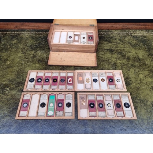 1531 - A case of twenty seven microscope slides. 