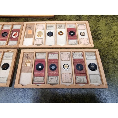 1531 - A case of twenty seven microscope slides. 