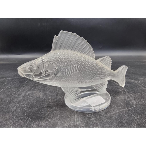 1610 - An R Lalique 'Perche' frosted glass car mascot, 16cm, (chips).