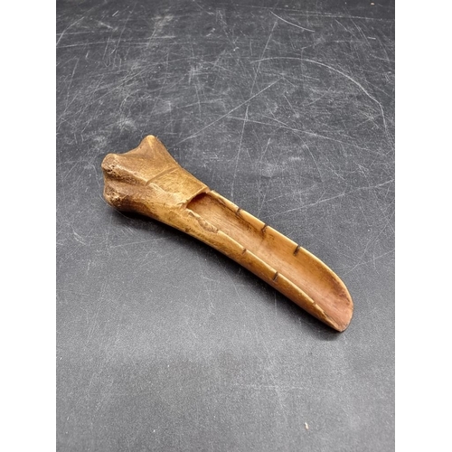 1653 - An interesting carved bone apple scoop, possibly 18th century, 11cm long.