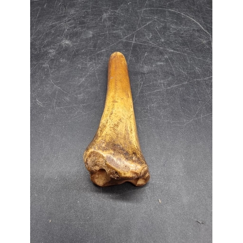 1653 - An interesting carved bone apple scoop, possibly 18th century, 11cm long.