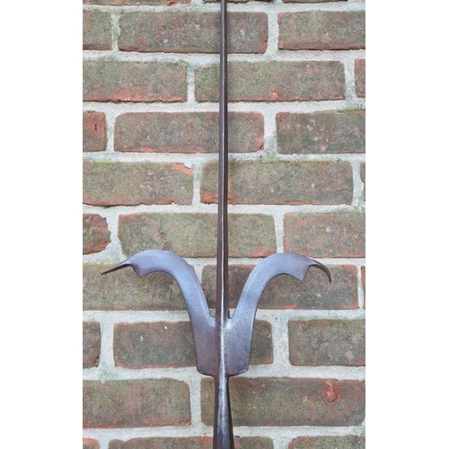 1711 - An interesting pole arm, total length 246.5cm. 