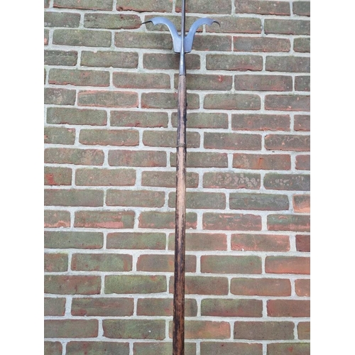 1711 - An interesting pole arm, total length 246.5cm. 