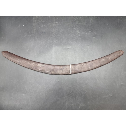 1753 - Ethnographica: a 19th century Australian Aboriginal hardwood boomerang, the upper convex side decora... 