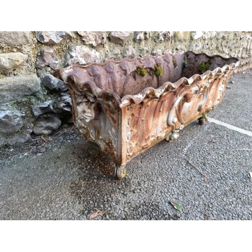 1825 - A rectangular cast iron planter, 68cm wide.