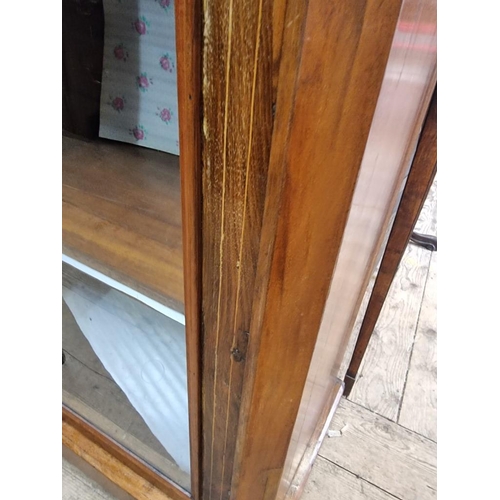 1066 - A Victorian walnut and inlaid pier cabinet, 53.5cm wide.