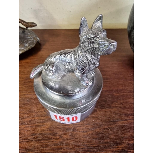 1510 - Automobilia: a vintage chrome painted Highland terrier car mascot, 9.5cm high.