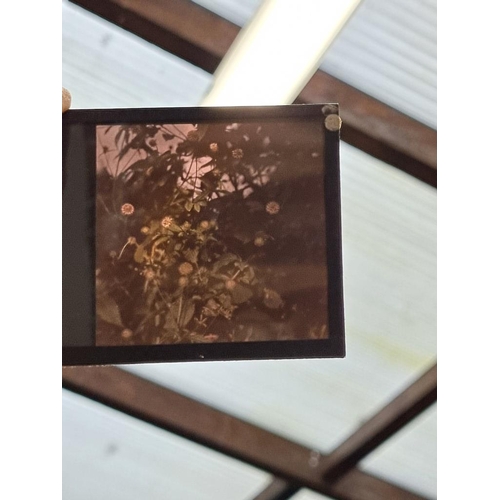 211 - PHOTOGRAPHY: GLASS NEGATIVES: a large collection of approx 470+ glass negatives, autochrome and Page... 