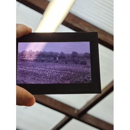 211 - PHOTOGRAPHY: GLASS NEGATIVES: a large collection of approx 470+ glass negatives, autochrome and Page... 