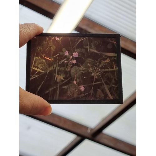 211 - PHOTOGRAPHY: GLASS NEGATIVES: a large collection of approx 470+ glass negatives, autochrome and Page... 