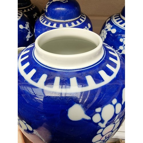 1129 - Fourteen Chinese blue and white ginger jars and eight covers, largest 14.5cm high.