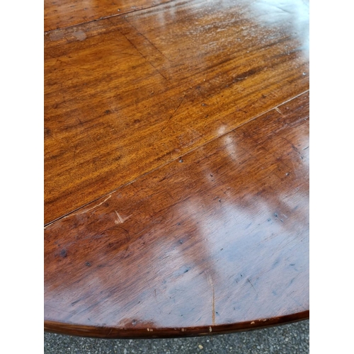 1111 - A large Irish mahogany wake table, 287cm x 128cm.