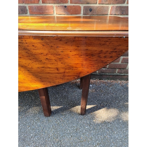 1111 - A large Irish mahogany wake table, 287cm x 128cm.