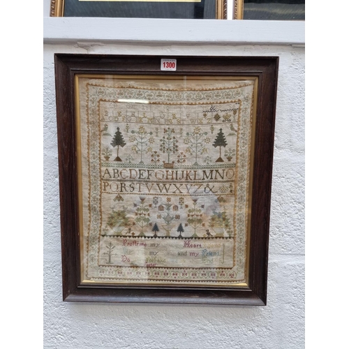 1300 - A 19th century needlework sampler, by 'Ann Foster', 44 x 36cm.