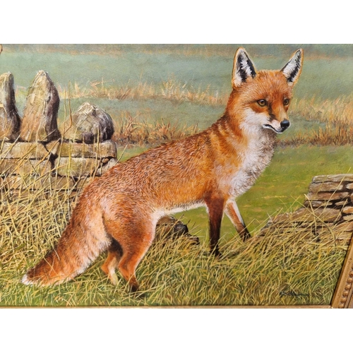 1303 - Efraham Blowman, a fox, signed, inscribed verso, oil on board, 39 x 49cm.