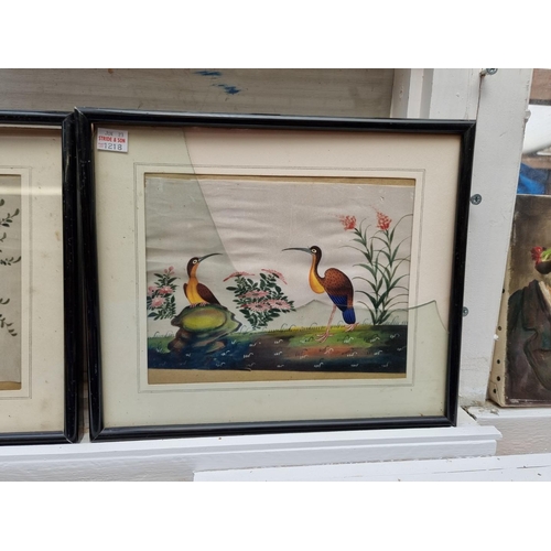 1218 - Chinese School, 19th century, exotic birds, five works, watercolour on pith paper, largest approx 16... 