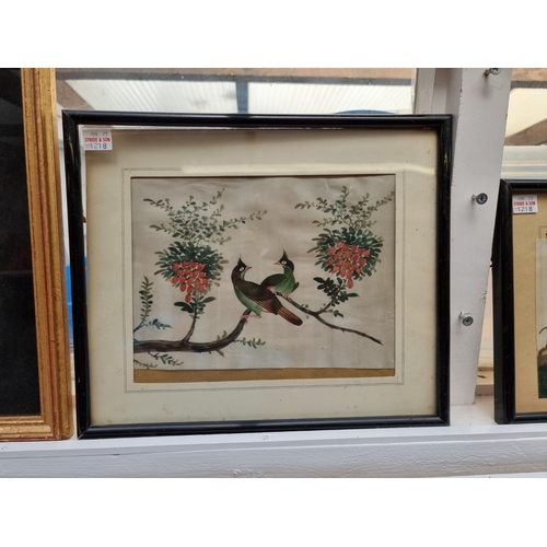 1218 - Chinese School, 19th century, exotic birds, five works, watercolour on pith paper, largest approx 16... 