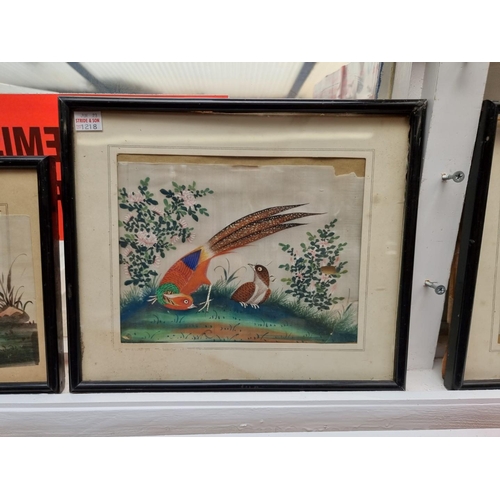 1218 - Chinese School, 19th century, exotic birds, five works, watercolour on pith paper, largest approx 16... 