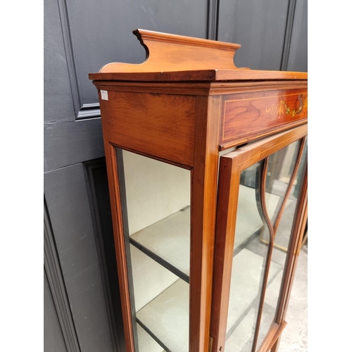 1029 - A small Edwardian mahogany, line inlaid and painted display cabinet, 59cm wide.