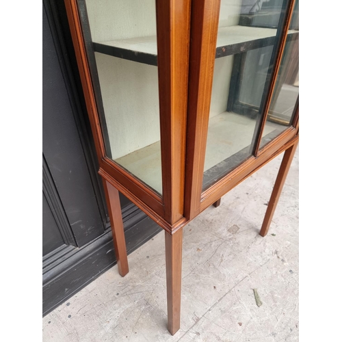 1029 - A small Edwardian mahogany, line inlaid and painted display cabinet, 59cm wide.