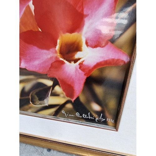 1162 - Gina Lollobrigida, 'Oriental Lily'; 'Hibiscus', a pair, each signed and dated 1976 and 1982 respecti... 