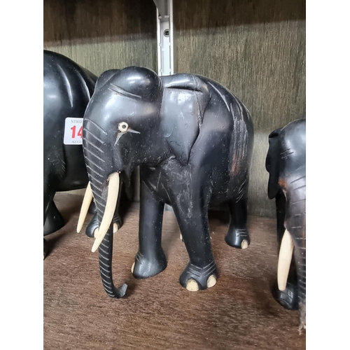 1446 - A matched set of eight graduated ebony and bone elephants, largest 17.5cm high.