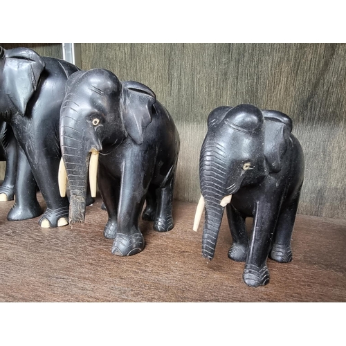 1446 - A matched set of eight graduated ebony and bone elephants, largest 17.5cm high.