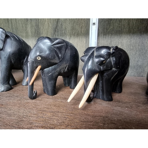 1446 - A matched set of eight graduated ebony and bone elephants, largest 17.5cm high.