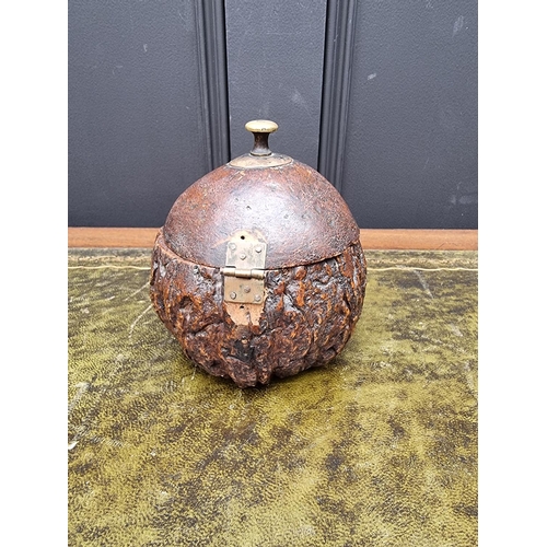 1551 - An unusual antique nut and carved wood tea caddy, 12.5cm high. 