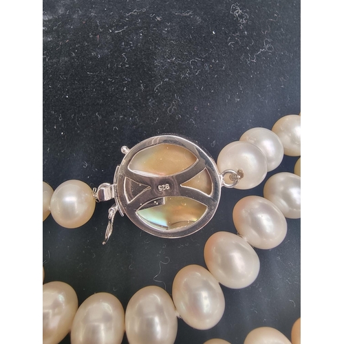 143 - A freshwater pearl necklace, having mother of pearl and white metal clasp stamped '925', 85cm long.... 